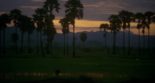 The Killing Fields