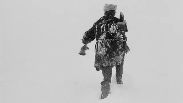 The Ascent