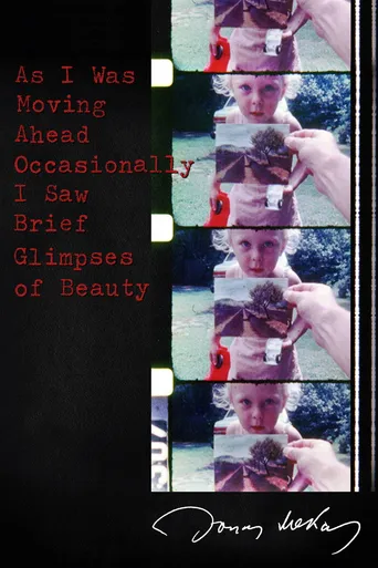 As I Was Moving Ahead, Occasionally I Saw Brief Glimpses of Beauty poster