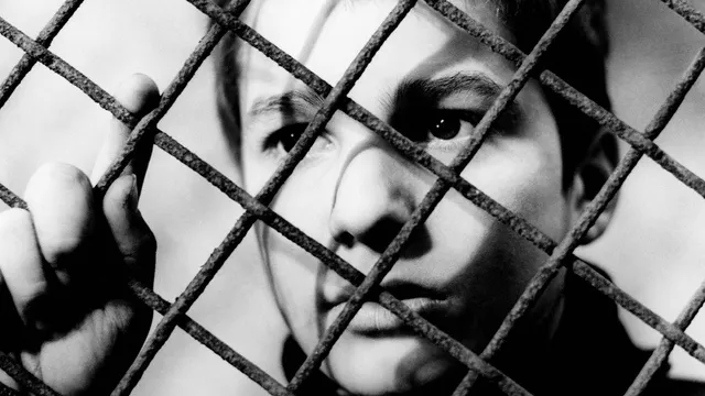 The 400 Blows